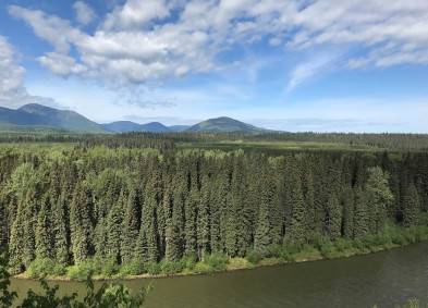 Forestry | Environmental | CCI Inc