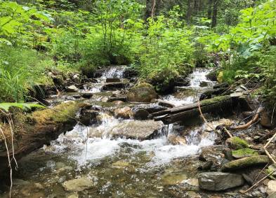 Planning & Regulatory | Environmental | CCI Inc