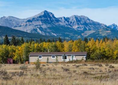 Stoney Nakoda Nation - Morley Reserve FireSmart | Environmental | CCI Inc